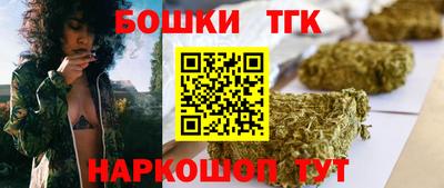 индика Бийск