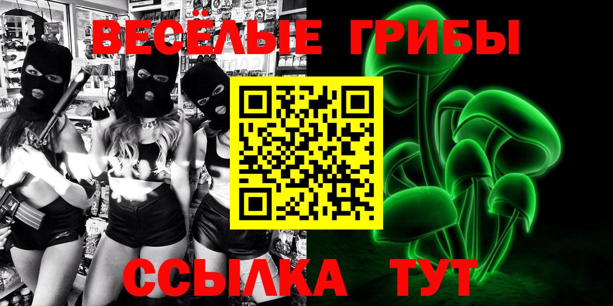 Псилоцибиновые грибы Cubensis Клин