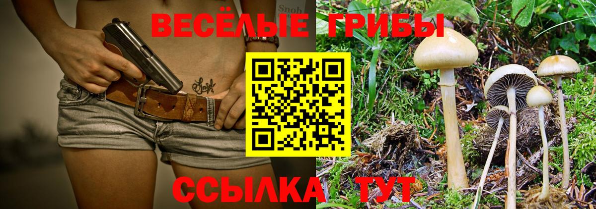 Клин  Псилоцибиновые грибы GOLDEN TEACHER  Вход с VPN 